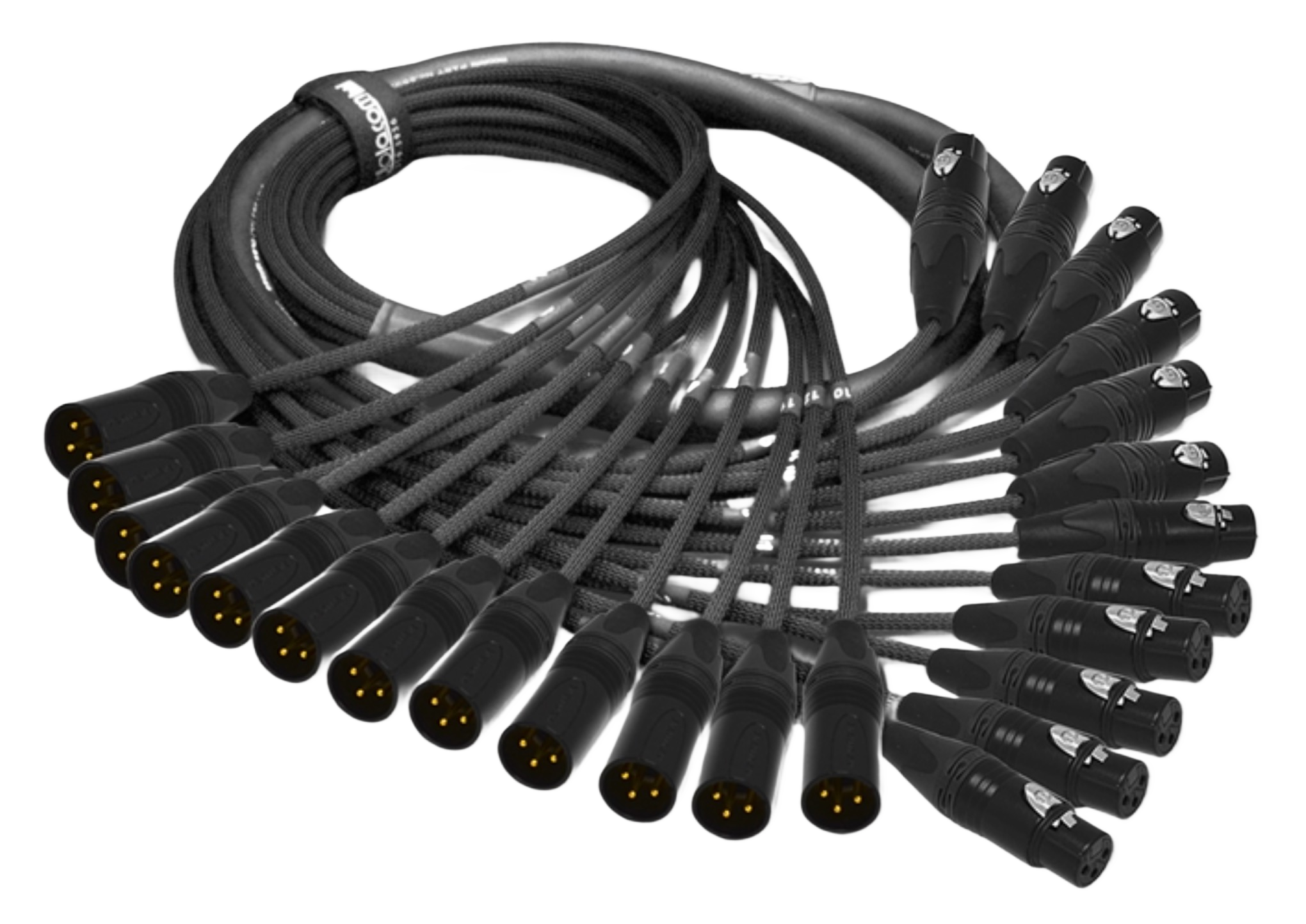 XLR 3p Snake (12ch) - 5m