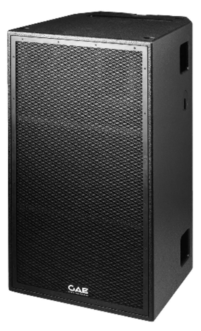 GAE - DIR218 Director subwoofer