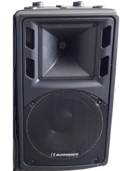 Enceinte passive  - 300W Rms Acute 10 Audiophony