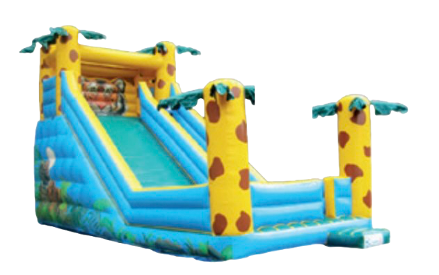 Toboggan tigre du Bengale