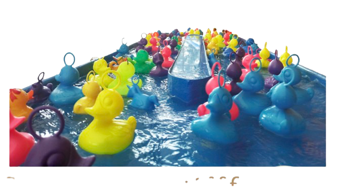 Pêche aux canards