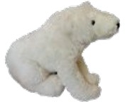 Ours peluche polaire blanc