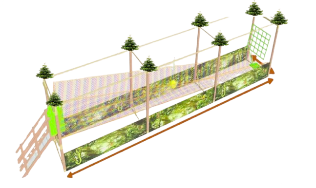 Tyrolienne (2x 60m)