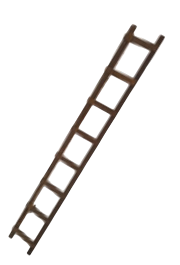Echelle de toit
