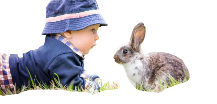 Mini ferme