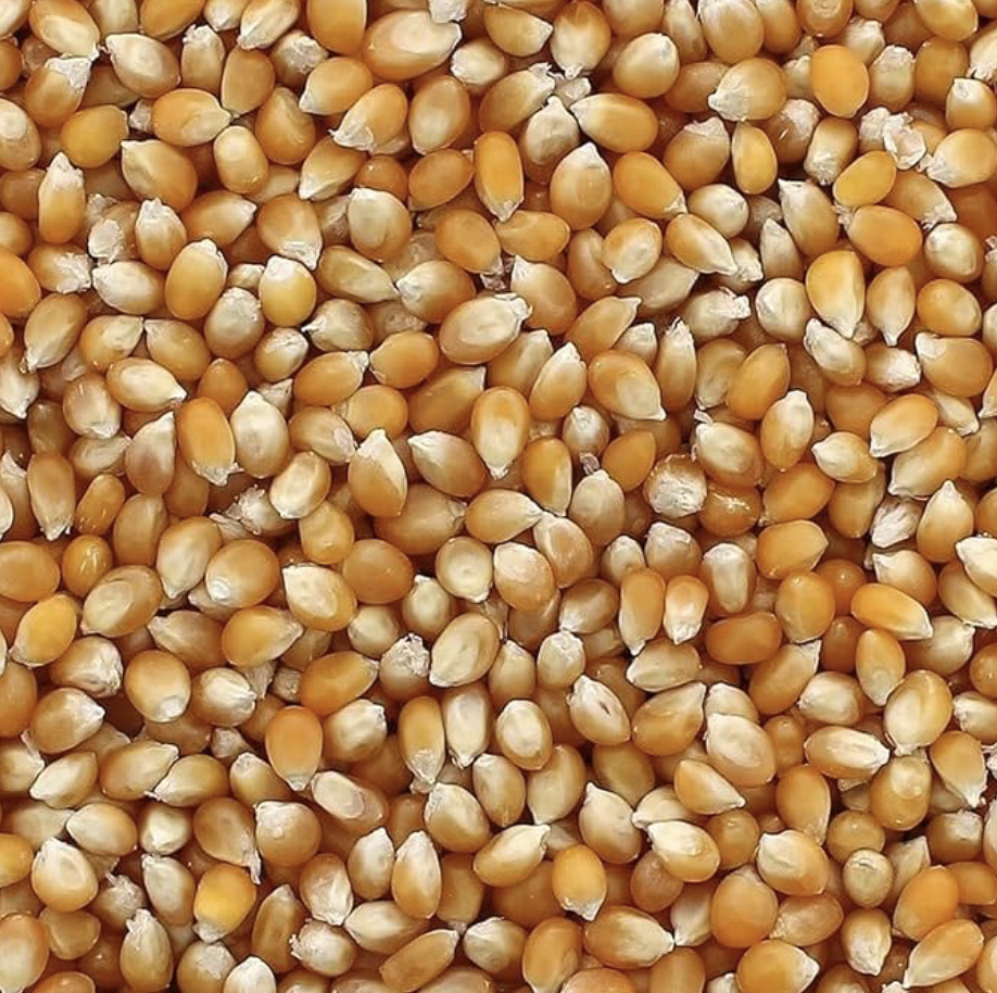 Pop-Corn (1kg maïs)