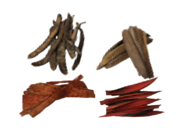Feuilles et écorces x10