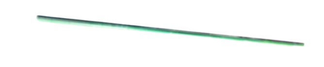 Bambou vert 205cm