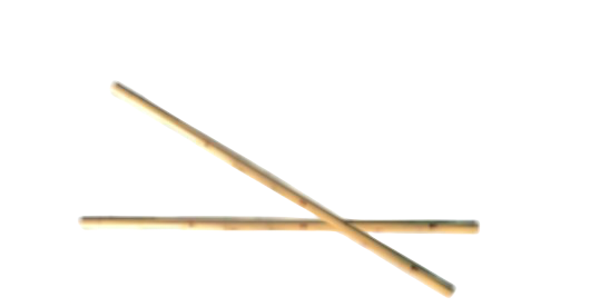 Bambou Jaune 250cm