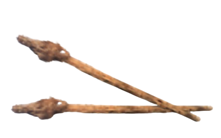 Troncs palmiers (x 2)