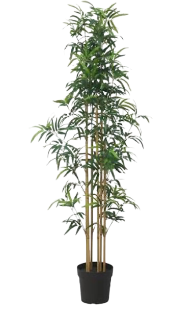 Plante bambou 170cm