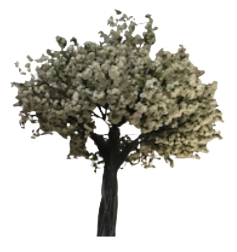 Arbre Artificiel (Judée)