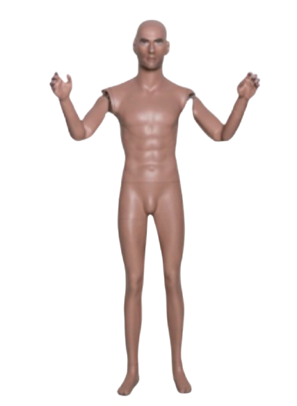Mannequin homme debout
