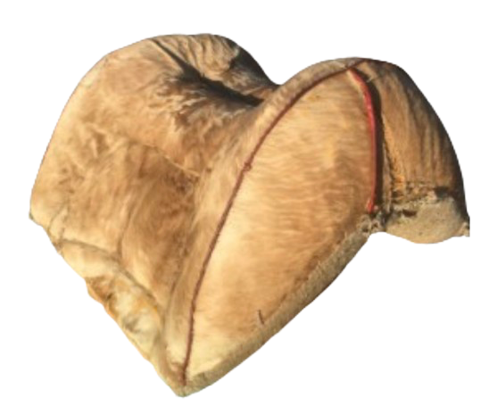 Selle de chameau