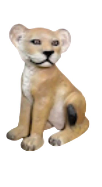 Lionceau assis