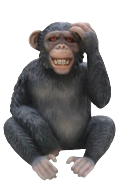 Singe assis 2