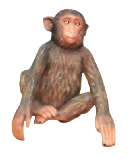 Singe assis 1