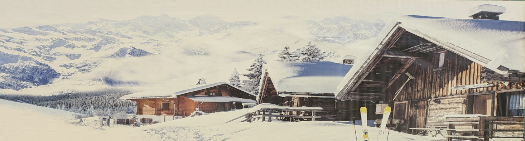 Bâche Chalet + ski