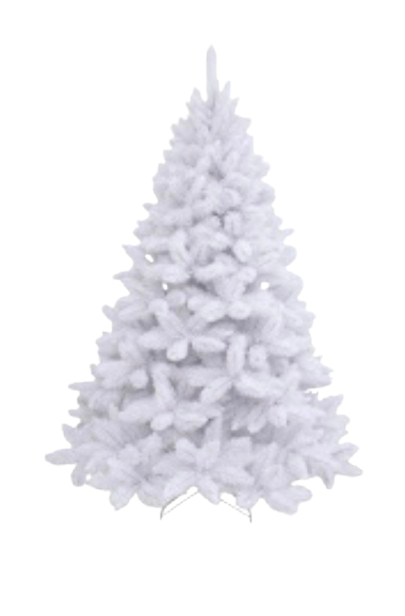 Sapin Blanc 260cm