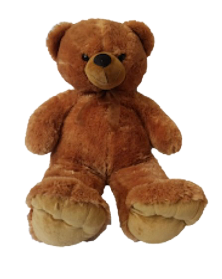 Ours brun assis