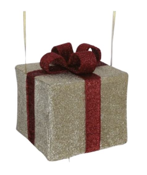Cadeau or (taille S)