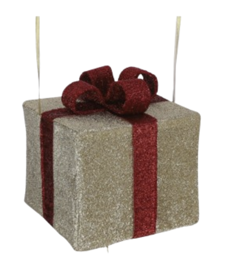 Cadeau or (taille L)