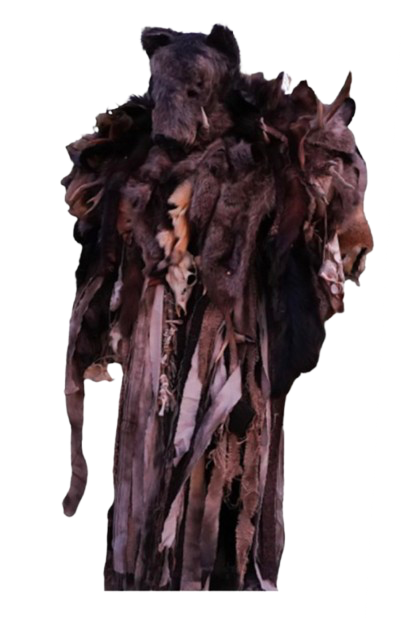 Costume la bête
