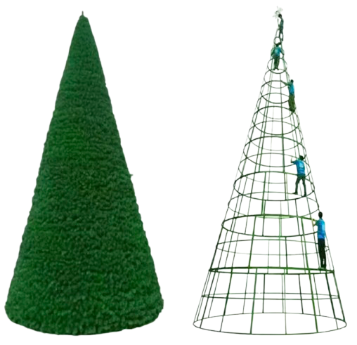 Sapin géant 10m