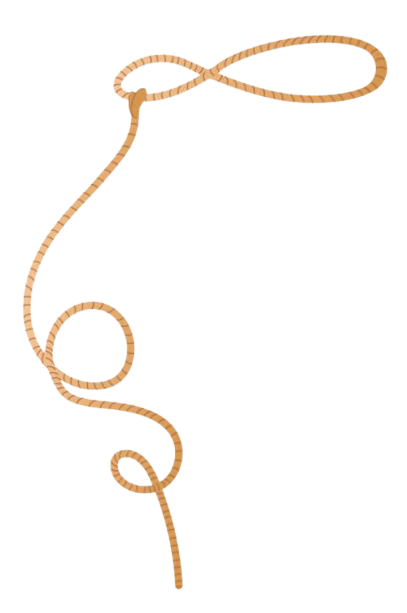 Lasso