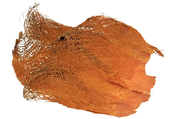 Fibre coco naturelle