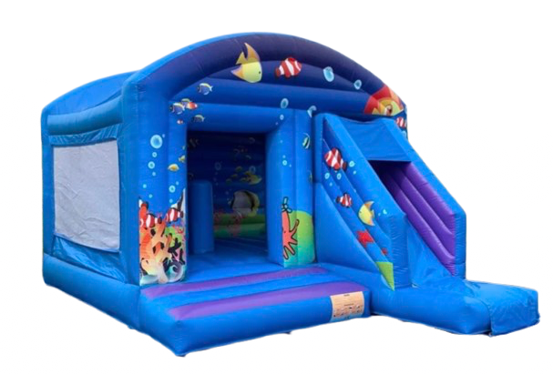Petit aquarium