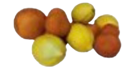 Agrumes (lot)