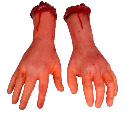 Avants bras humains - Image 2