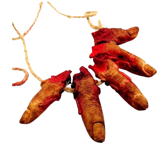 Doigts humains