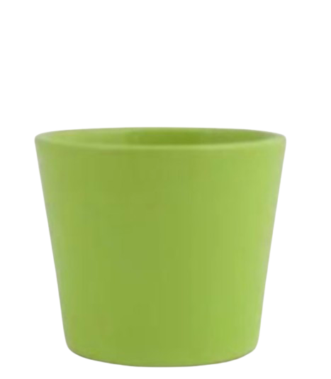 Pot vert (plante)