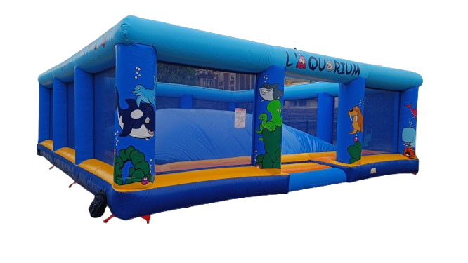 Aquarium (dôme mou) - Image 4