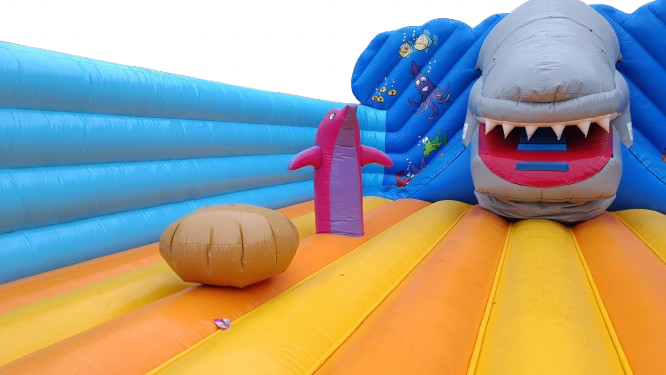 Requin Croq'enfants - Image 4
