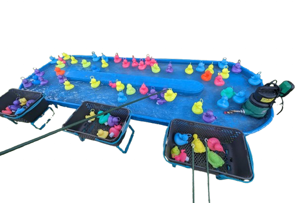 Pêche aux canards - Image 2