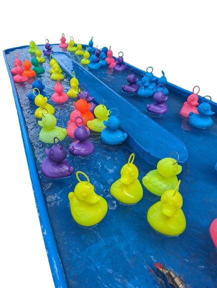 Pêche aux canards - Image 3