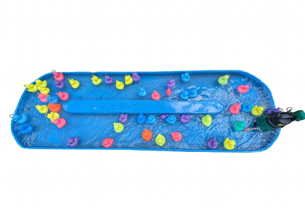 Pêche aux canards - Image 4