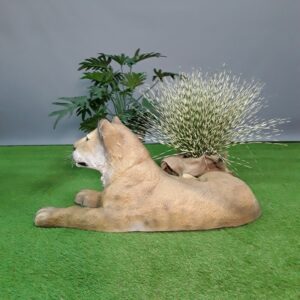 Lionceau couché - Image 2
