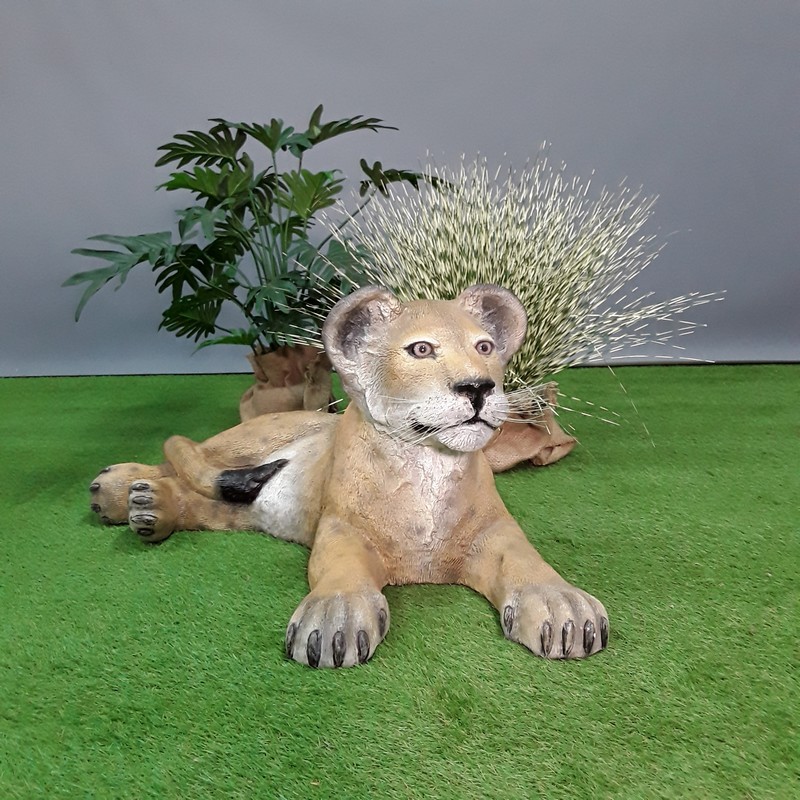 Lionceau couché - Image 4