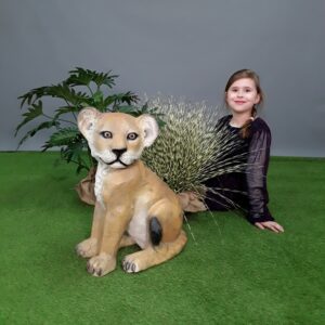 Lionceau assis - Image 3