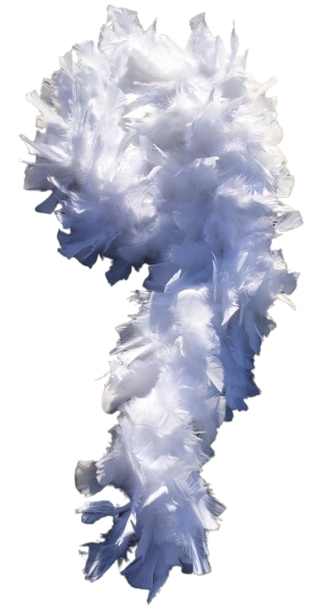 Guirlande boa plumes blanc - Image 2