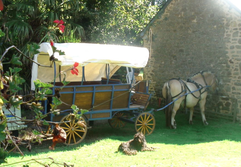 Chariot Pionnier (échelle 1) - Image 2