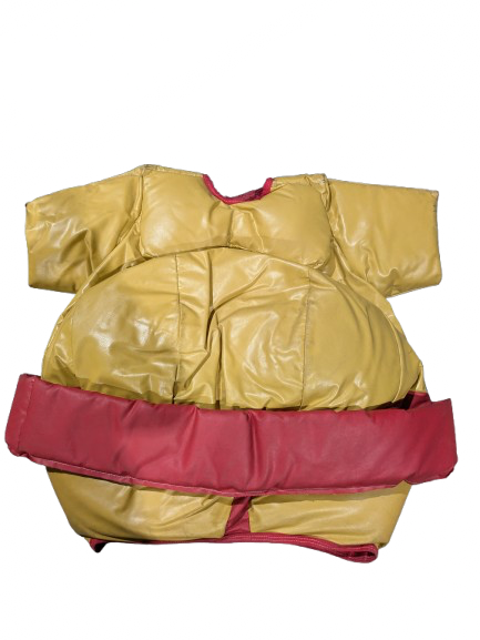 Sumos enfants - Image 5