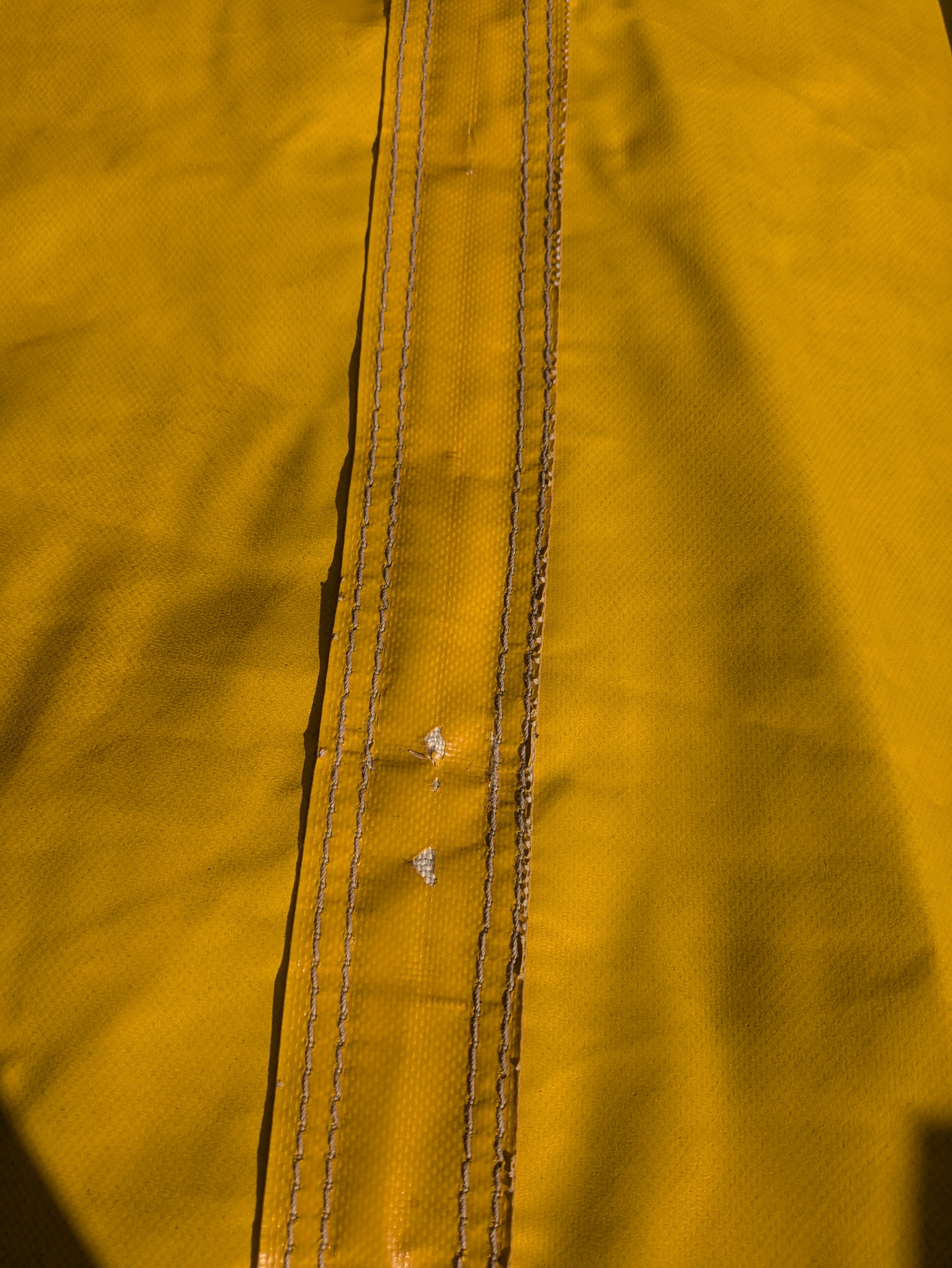Dune molle - Image 22