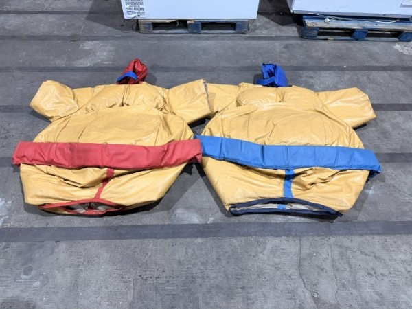 Sumos adultes (lot 1) - Image 6
