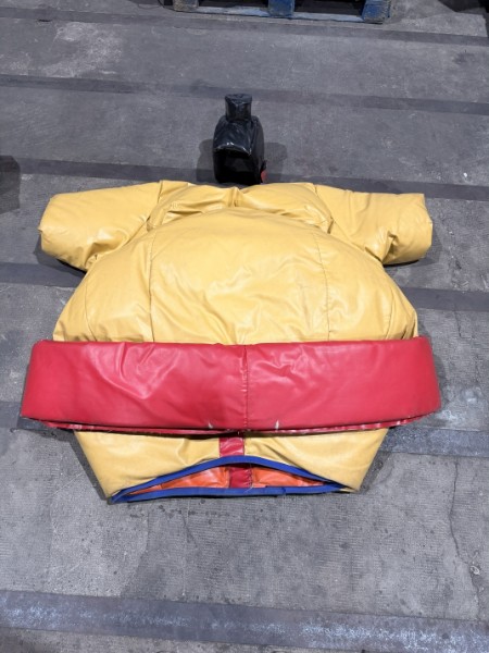 Sumos adultes (lot 2) - Image 8