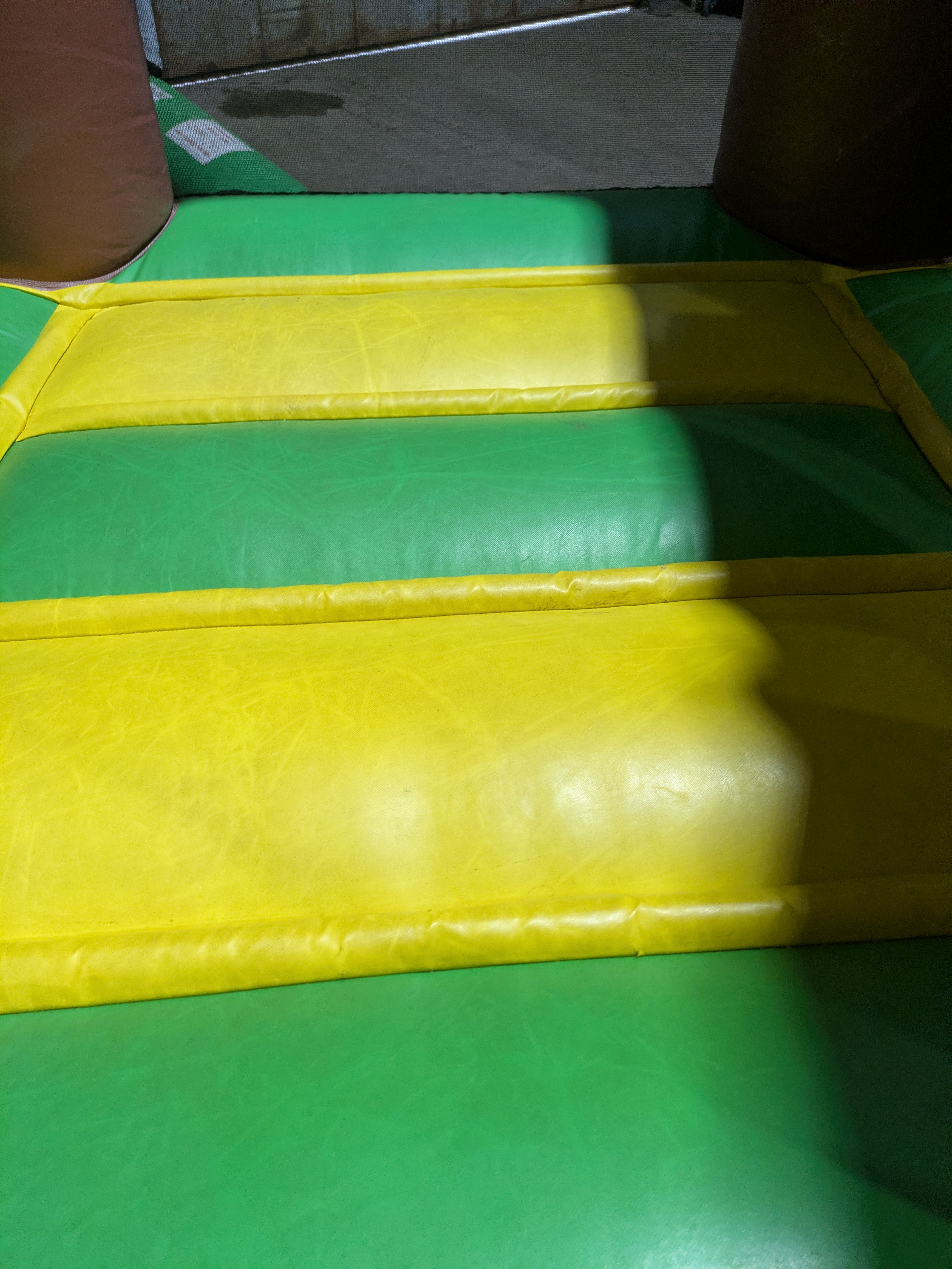 Mini palmier - Image 7